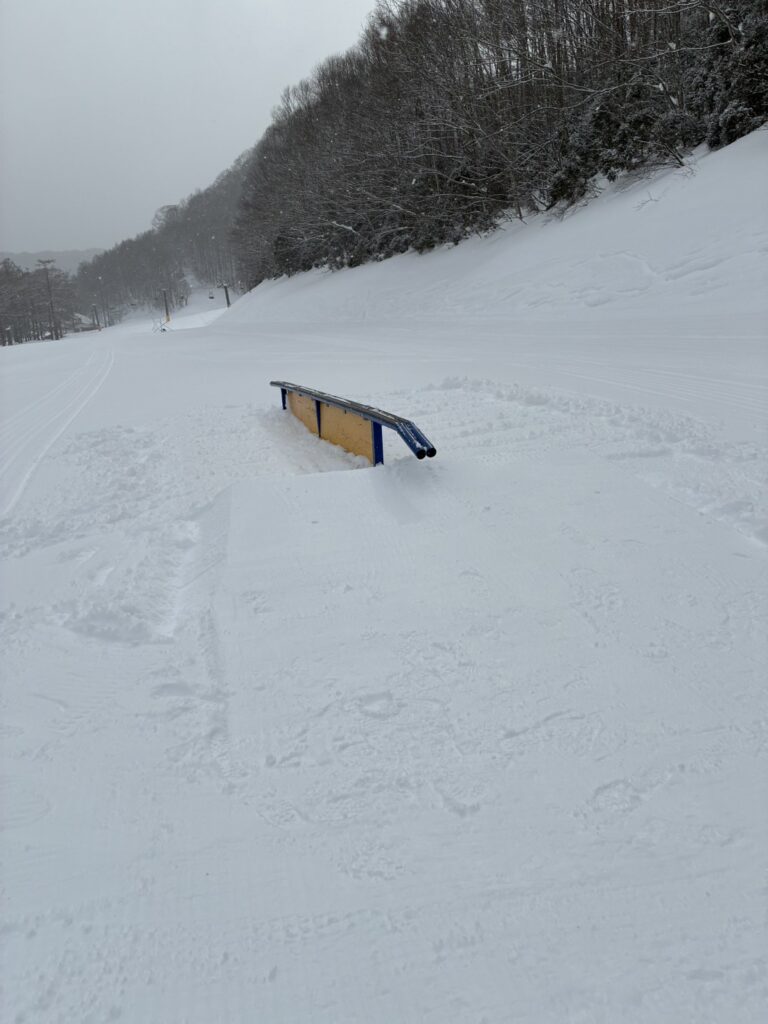 5m丸ダブルレール